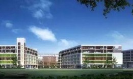 南宁学院新瓜最新爆料视频,校园风云再起